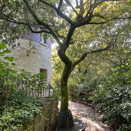 Enoturismo Novavila Rias Baixas Wine Design Meis