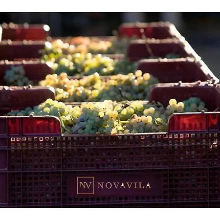 Enoturismo Novavila Rias Baixas Wine Design Meis